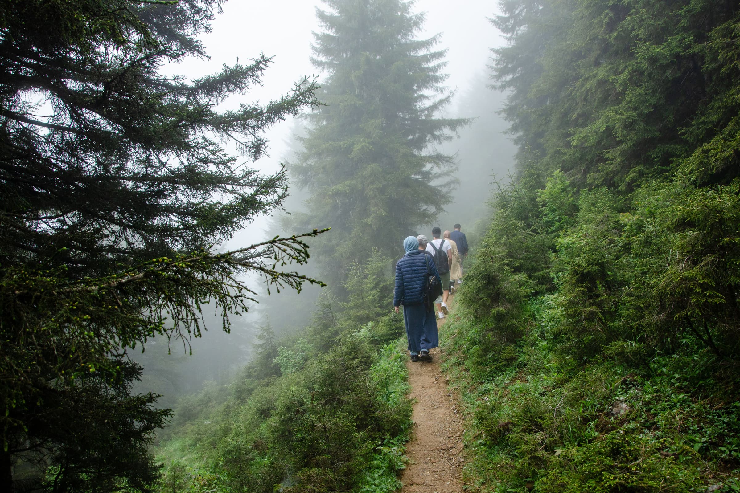 Walkers on a forest trail in low morning mist, moving in single file.